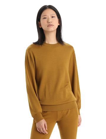 Icebreaker Merino Crush Long Sleeve Tröjor Dam Bruna | SE 1328FDNM